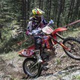 Tara bacila na kolena i najbolje vozače 7