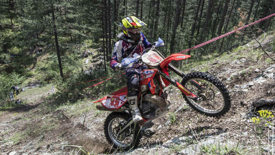 Tara bacila na kolena i najbolje vozače 1