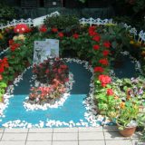 Smederevski dani cveća 14