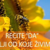 Zemlja od koje živimo 10