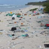 Ostrvo prekriveno plastikom 15