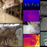 O robotima i budućnosti 14