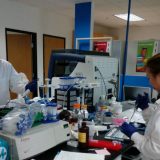 Nema biznisa bez jeftinog piva 10