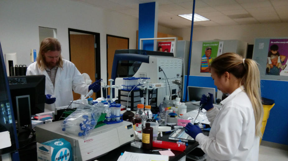 Nema biznisa bez jeftinog piva 1