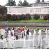 Muzej istorije Jugoslavije: Sprečiti aukciju 5