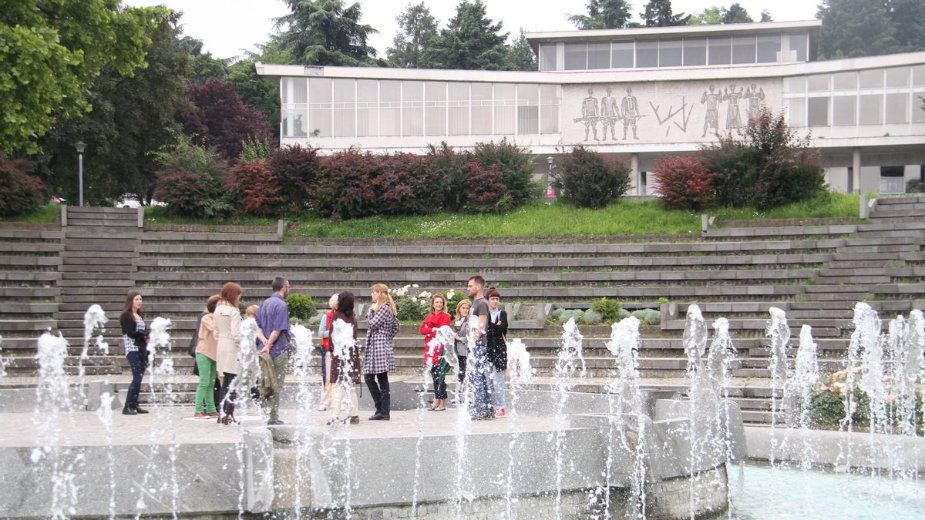 Muzej istorije Jugoslavije: Sprečiti aukciju 1