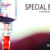 Strahovi i snaga "posebne krvi" 8