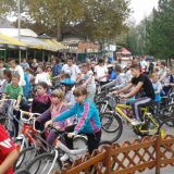 Iz sedam zemalja 14 ekipa 2