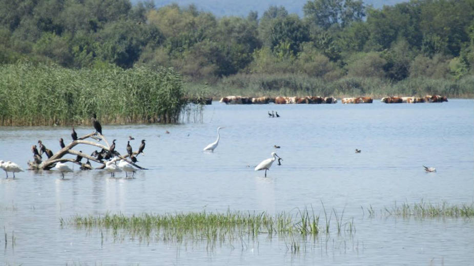 "Labudovo okno" kao centar ekoturizma 1