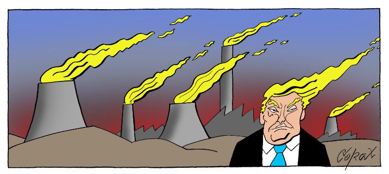 Corax 12