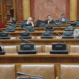 Većina izvesna, ali se glasanje o vladi odlaže 1