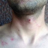 "Tanjug je sve snimio, ali fotografija nema" 14