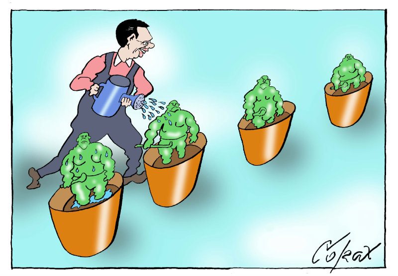 Corax 5