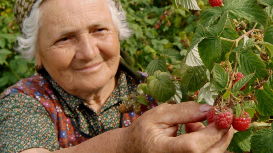 Cene na dugom štapu 1