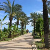 Turisti se vraćaju u Tursku nakon loše sezone 7