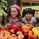 Kraljici cveća u čast 3