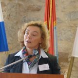 Pejčinović Burić: Štetne izjave Vulina 15