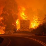 U požaru u Portugalu najmanje 62 ljudi poginulo 9