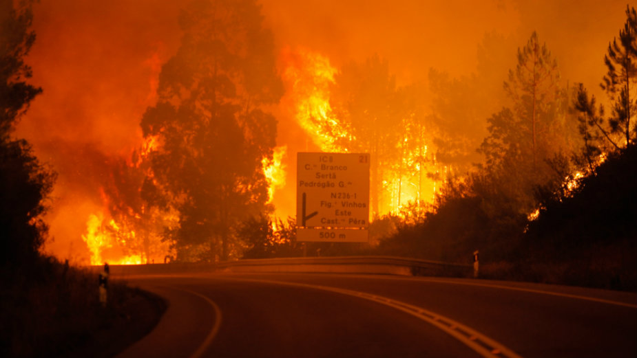 U požaru u Portugalu najmanje 62 ljudi poginulo 1