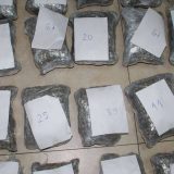 Zaplenjena marihuana 10