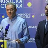 Politički savet DS predstavio predlog ustavnih promena 13