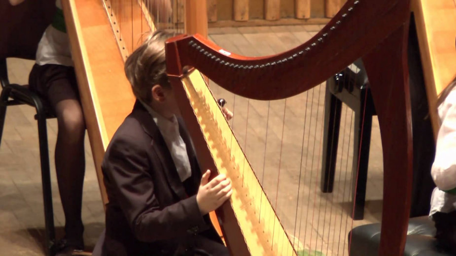 Međunarodni festival harfe 1