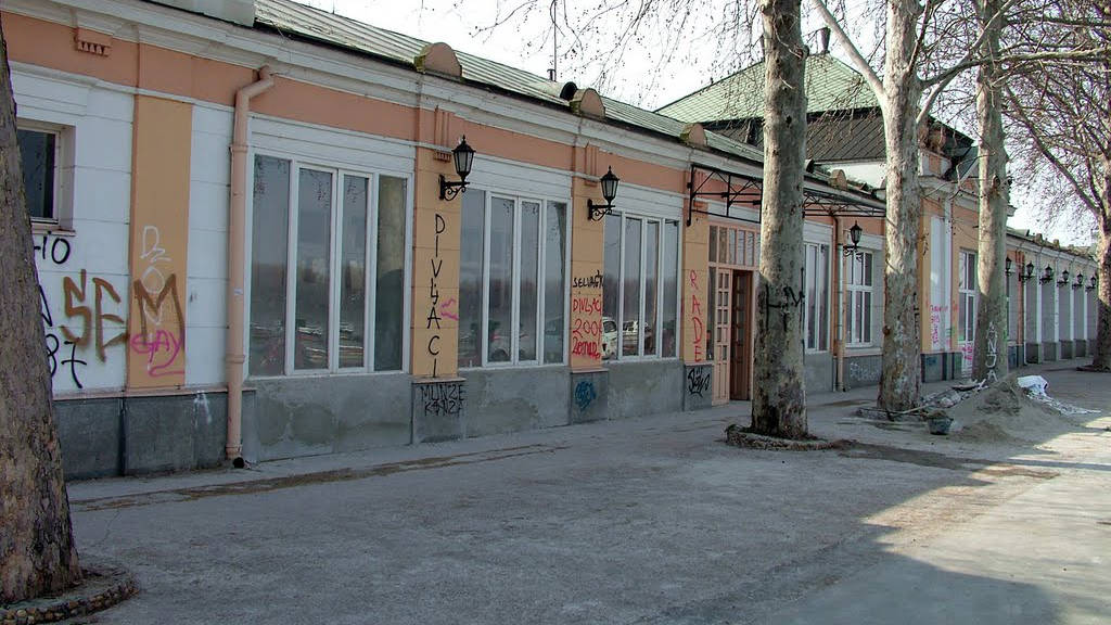 Rokenrol uprkos kiši 1