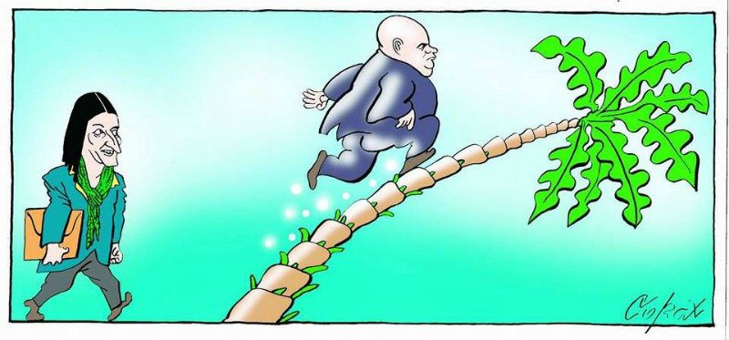 Corax 13