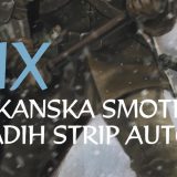 Regionalna scena devete umetnosti na jednom mestu 2