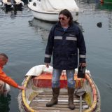 Treba izbjeći da se demokratija pretvori u diktaturu mediokriteta 7