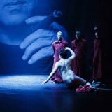 Čovek, kao hrčak u kavezu, na točku revolucije 8