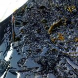 Pronađena nafta na Arktiku 2