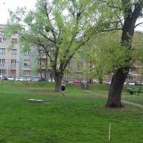 Protest zbog izgradnje parkinga na mestu parka 13