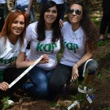 Zasađeno 100 stabala na Kopaoniku 8