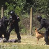 Pokazna vežba Žandarmerije u Kraljevu 8