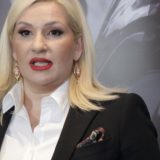 Mihajlović: Slogani za podsticaj rađanja uvredljivi za žene 5