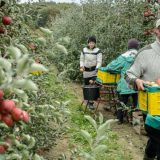 Za obnovu zadrugarstva 25 miliona evra 15