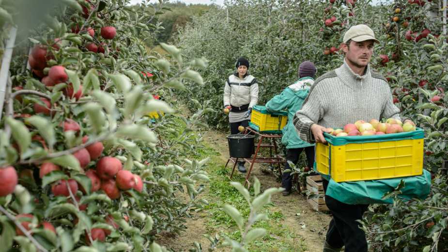 Za obnovu zadrugarstva 25 miliona evra 1