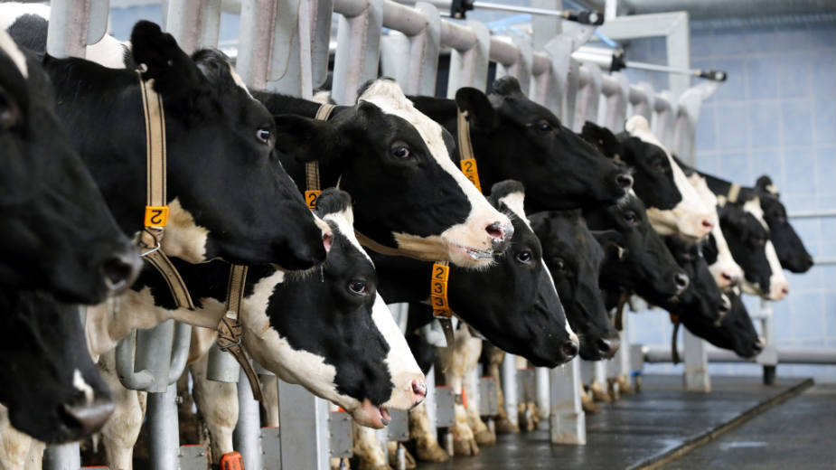 Poreske olakšice ključ za razvoj agrara 1