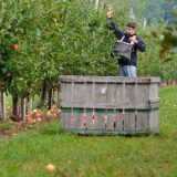 Rano voće i povrće alternativa samo uz veća ulaganja 10