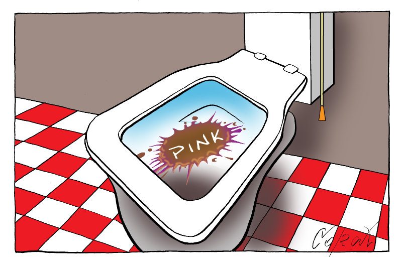 Corax 8