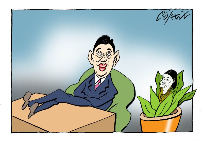 Corax 14