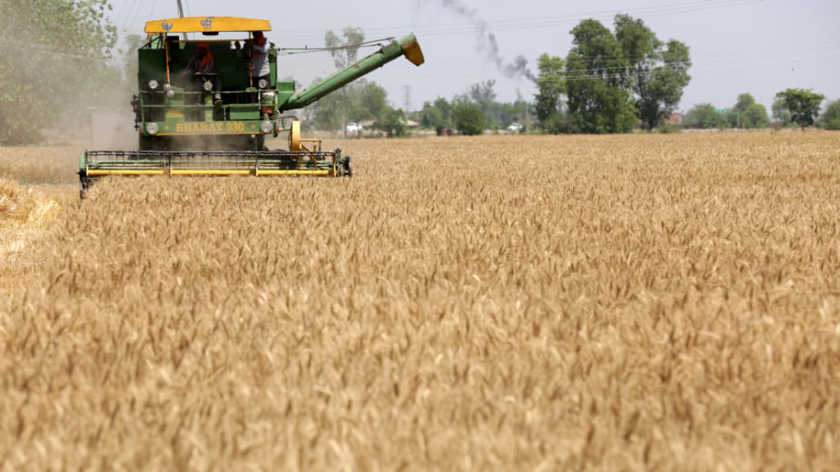 Prinos manji, rod kvalitetniji 1