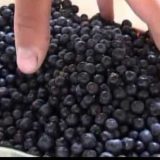 Edukacija i zaštita planinskog blaga 10