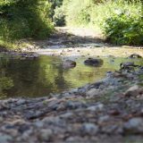 TOS: U prvom kvartalu 11 odsto turista više nego prošle godine 8