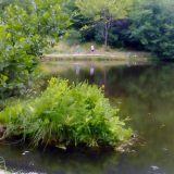 Semeteško jezero: Ostrva "na vetar" 2