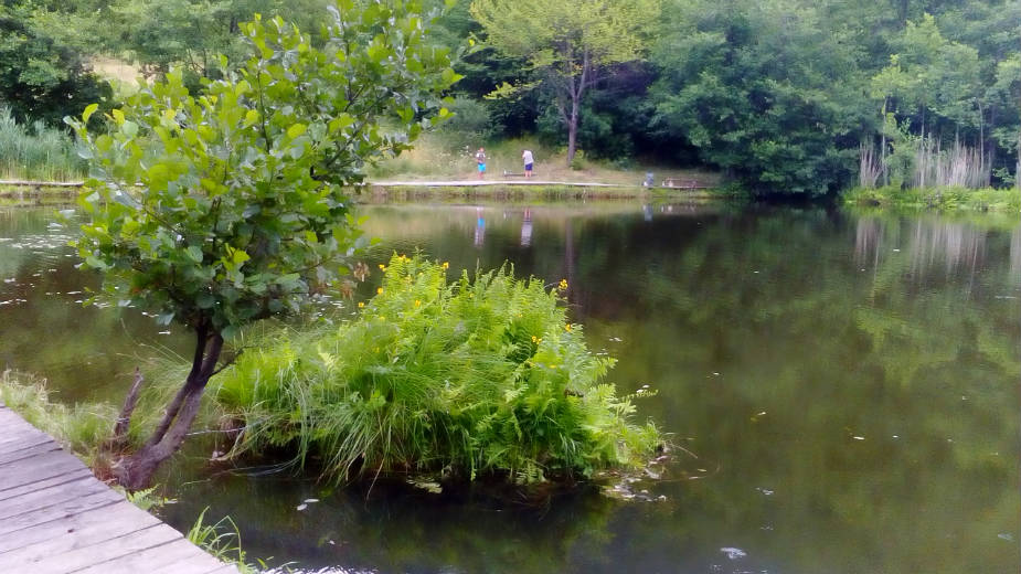 Semeteško jezero: Ostrva "na vetar" 1