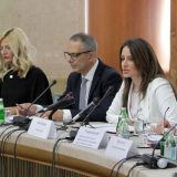 Miščević: Ustavne reforme do kraja godine 13