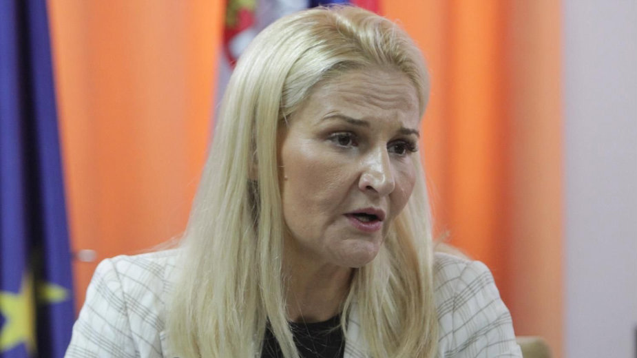 Miščević: Planiramo izmene poglavlje 24 1