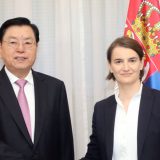 Brnabić i Džang: Prostor za dalje unapređenje odnosa 15